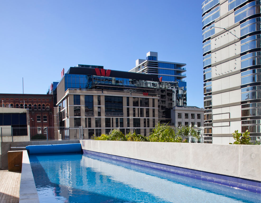 Auckland Harbour Oak